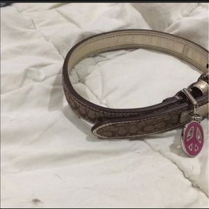Coach dog collar